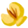Buttercup