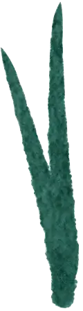 Grass