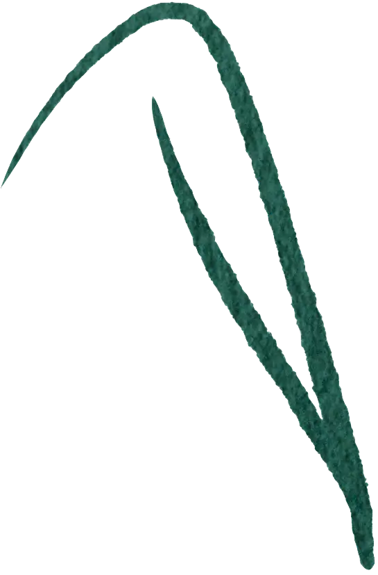 Grass