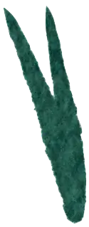 Grass