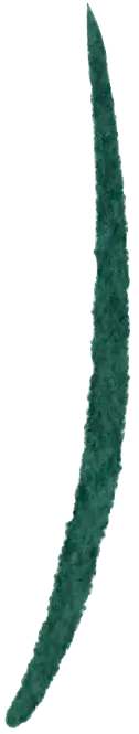 Grass