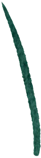 Grass