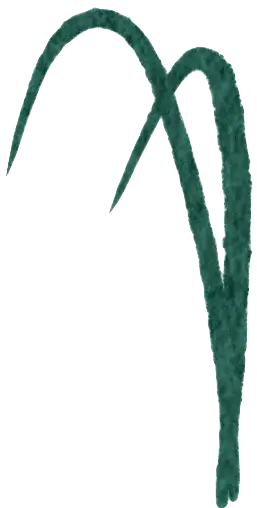 Grass