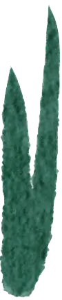 Grass