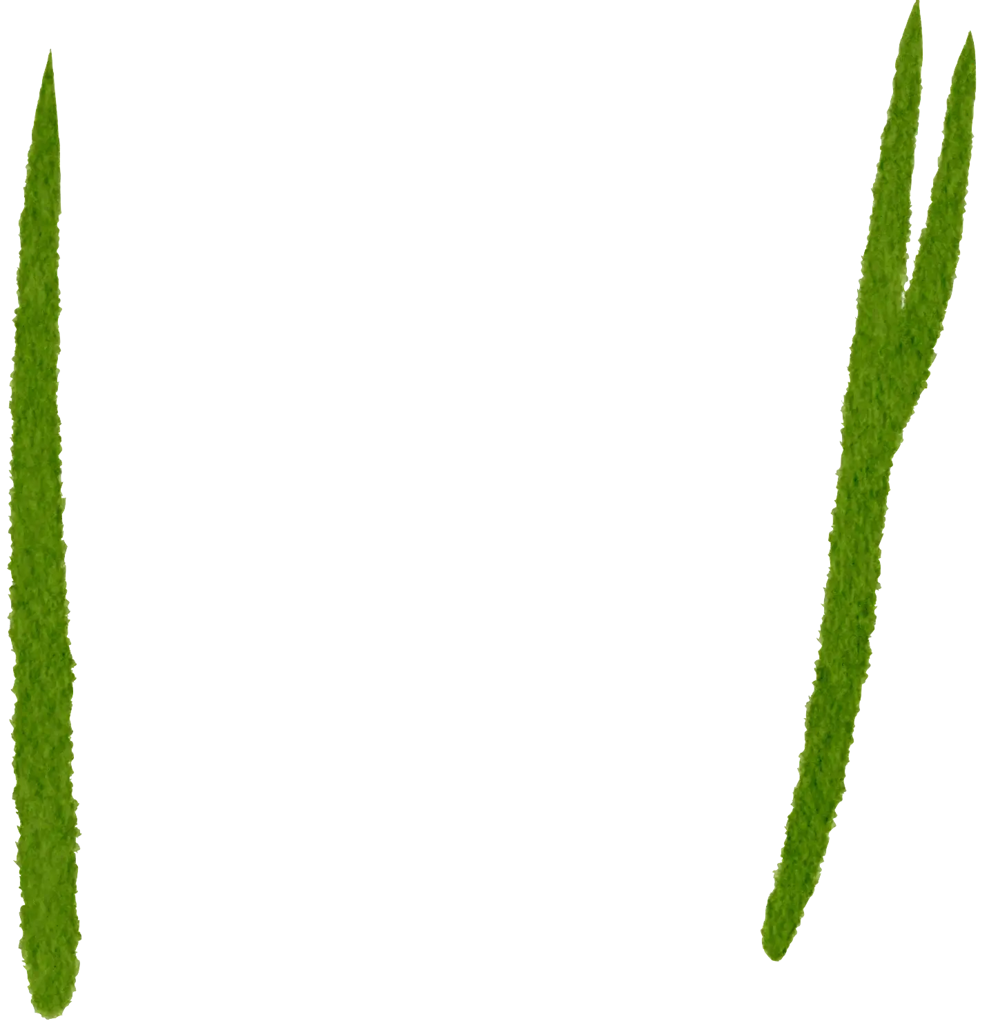 Grass
