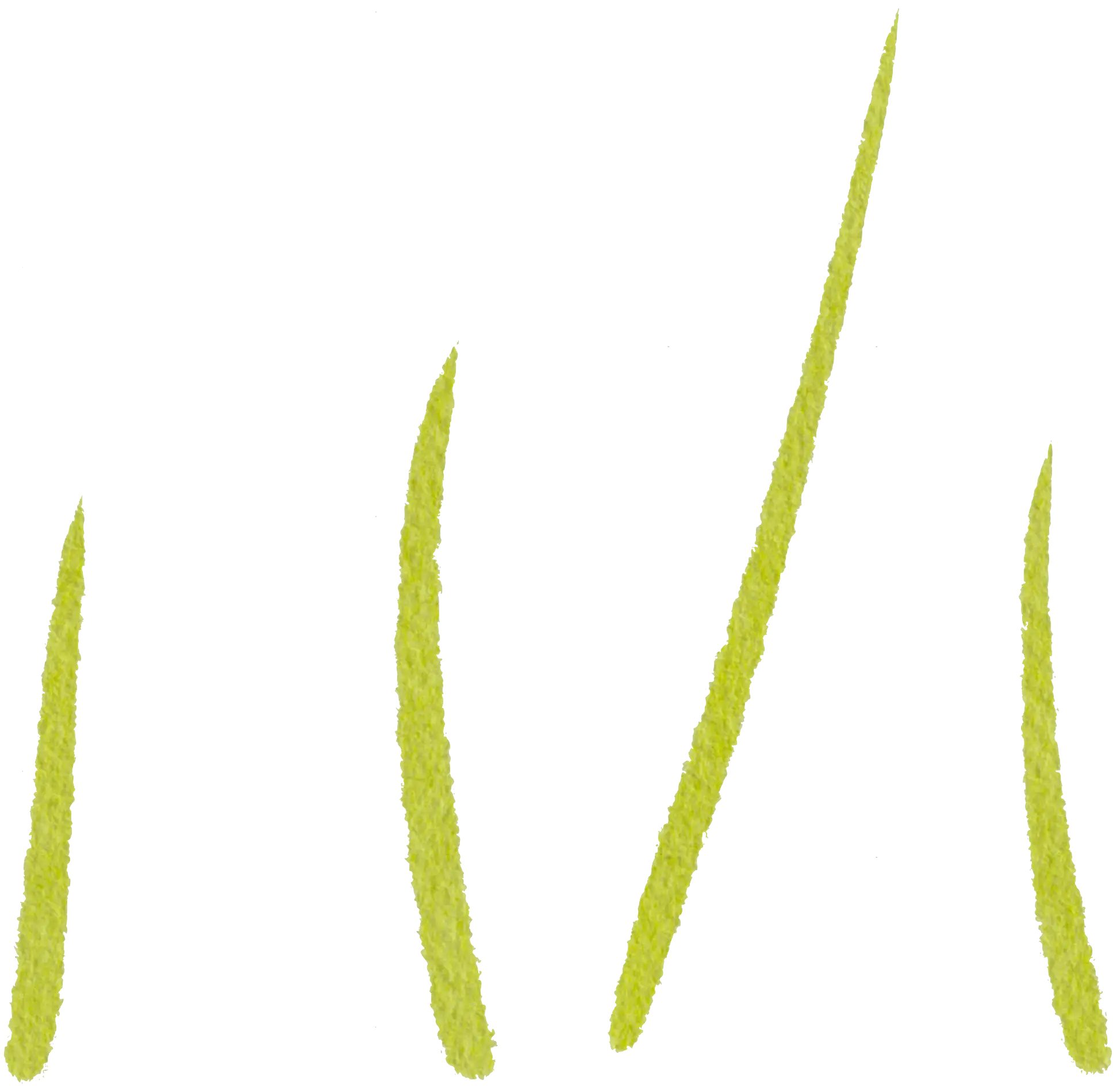 Grass highlights