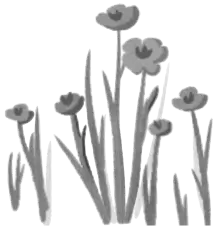Lily shadows