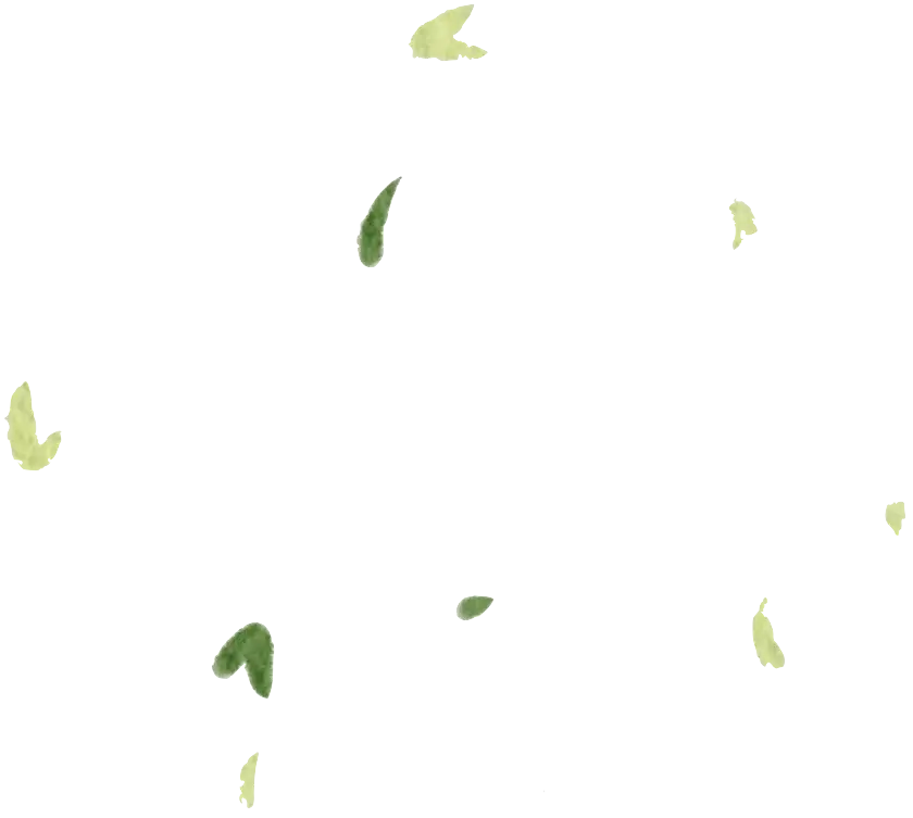 Leaves