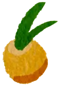 Loquat