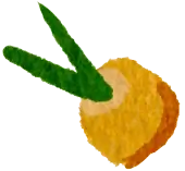 Loquat