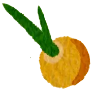 Loquat