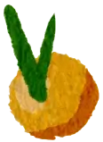 Loquat